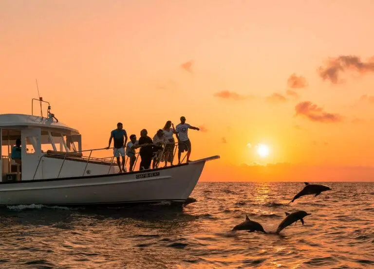 Sunset dolphin cruise on a Maldivian dhoni