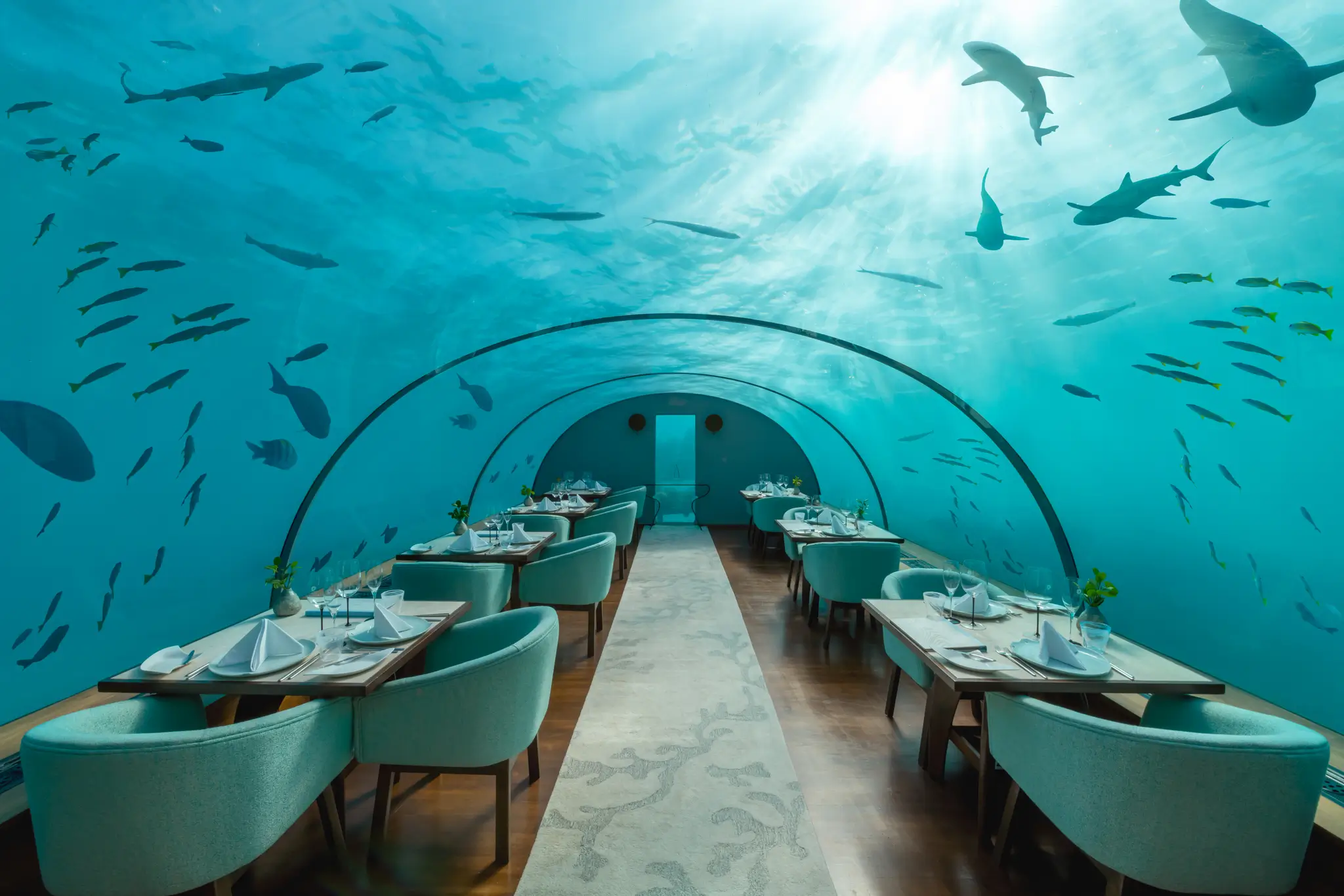 Ithaa Undersea Restaurant beneath the Indian Ocean